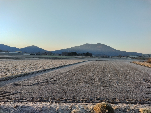 DSC_1650.jpg